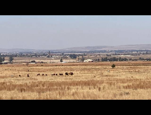 4HA VACANT LAND FOR SALE IN RANDFONTEIN CENTRAL